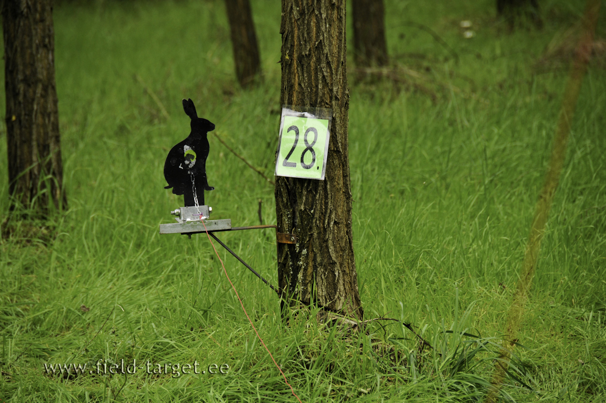 Täitsa tavaline jänes